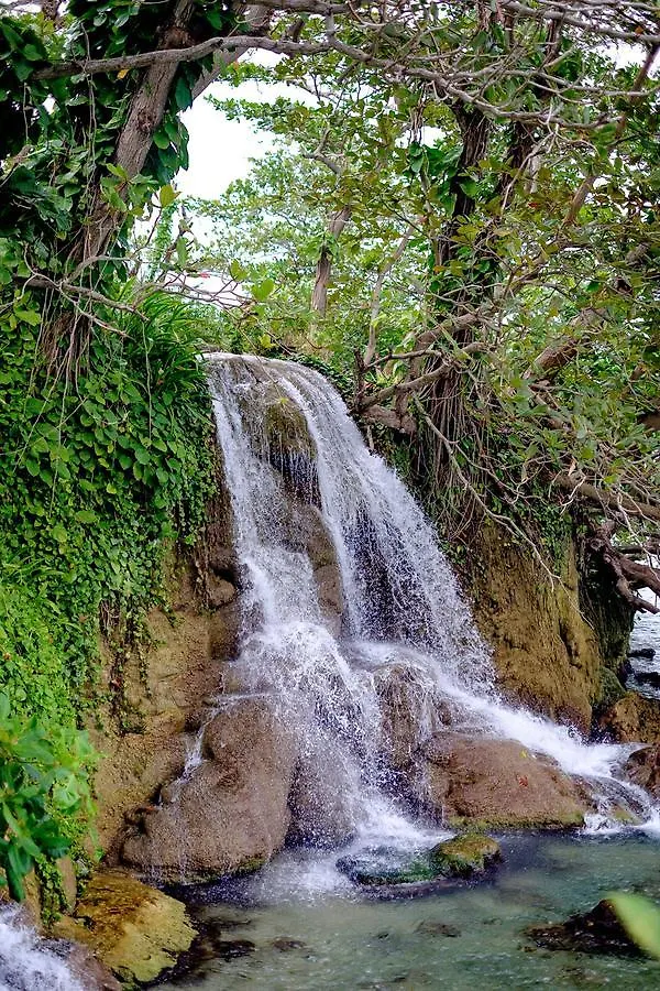 The Lion House Jamaica Villa Clifton Falls Orman Evi