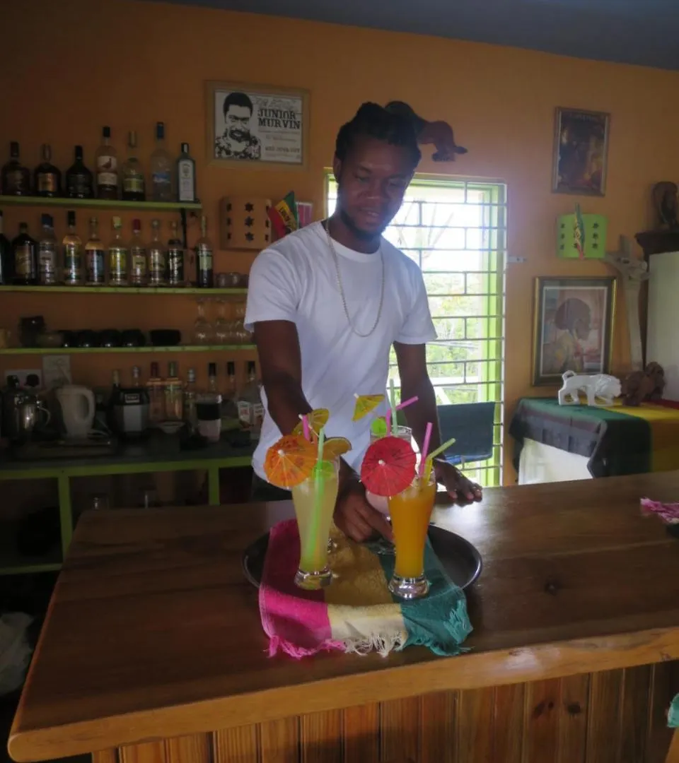 The Lion House Jamaica Villa Clifton Falls Jamaika